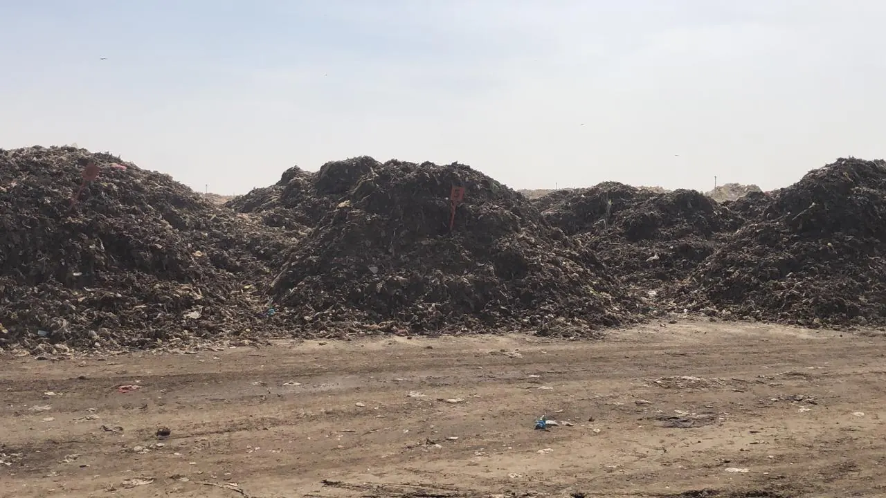 فبراير 2026 - 5