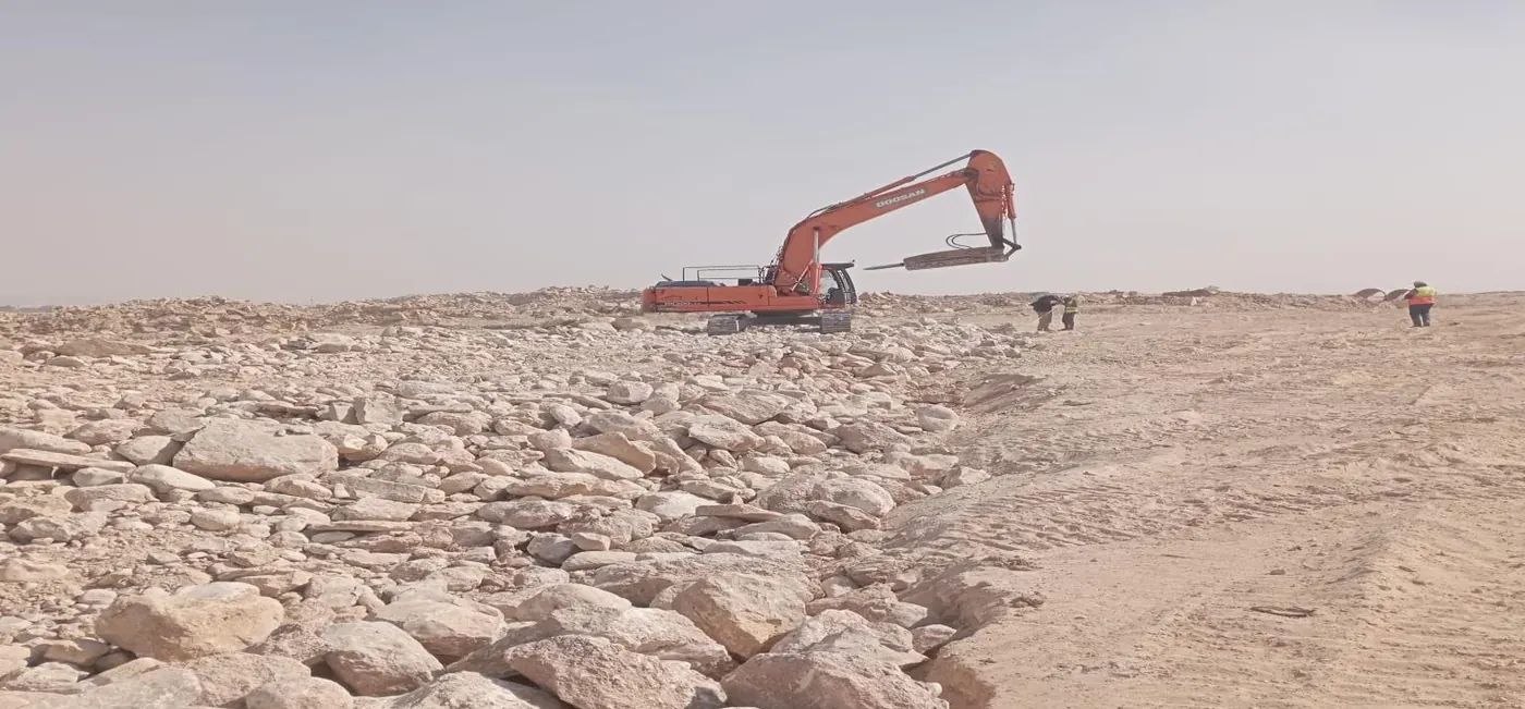فبراير 2026 - 10