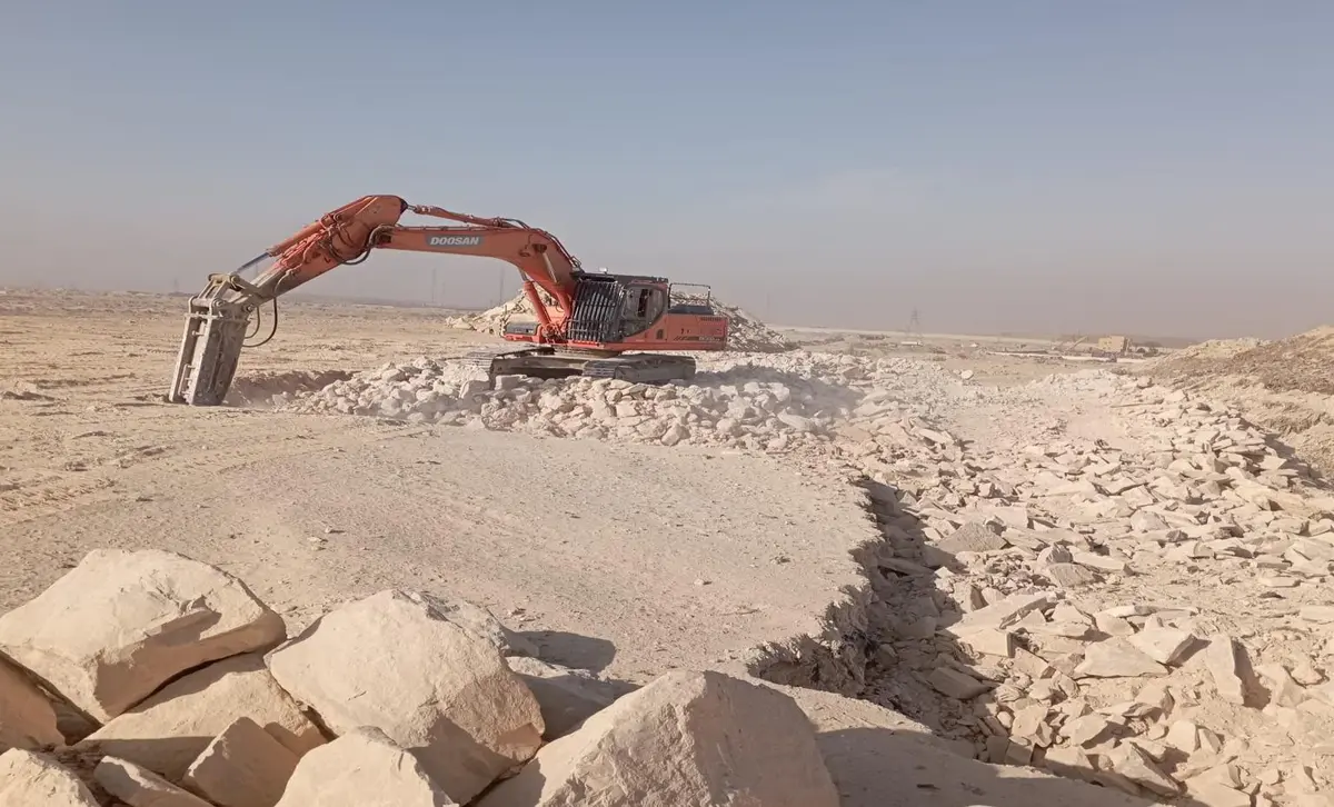 مايو 2026 - 8